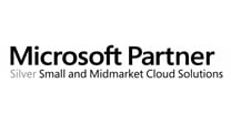 Microsoft Partner Logo